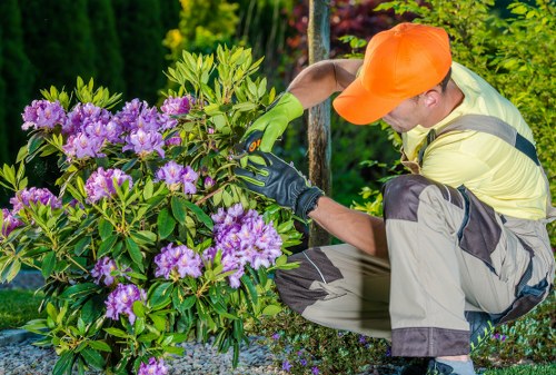 Professional garden clearance team clearing a residential garden
