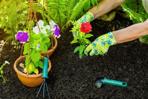 Cubic-yard pricing for a larger South Hackney garden clearance