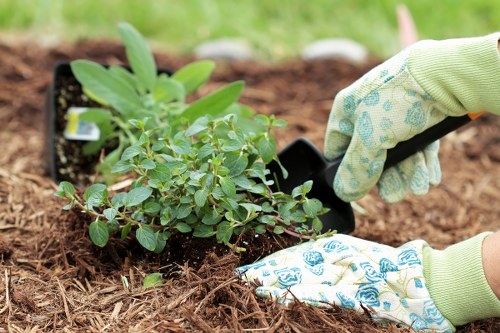 Local gardening experts maintaining a South Hackney outdoor space
