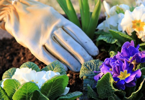 Local gardeners maintaining plants and borders in South Hackney
