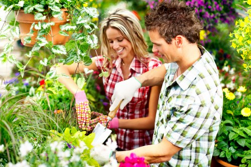 Professional lawn and planting maintenance in South Hackney