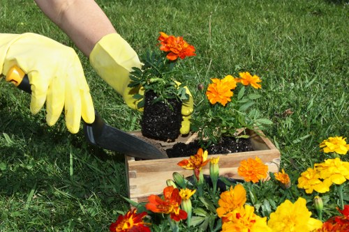 Seasonal lawn maintenance for a greener South Hackney garden