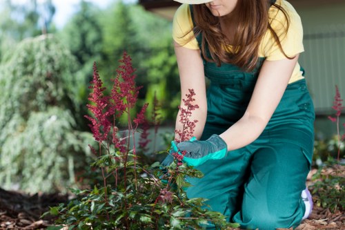 Seasonal planting and soil care in a South Hackney garden