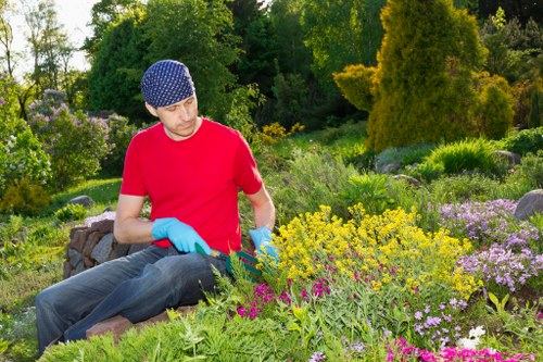 Escalation step in a gardening complaints policy