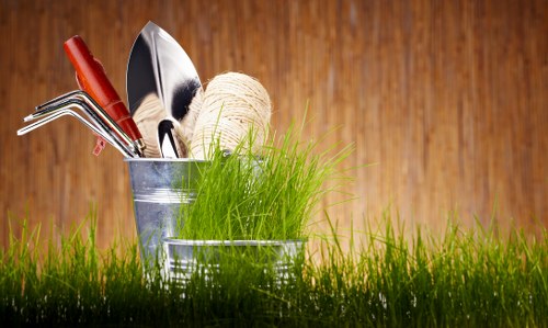Overseeding and scarification for patchy South Hackney lawns
