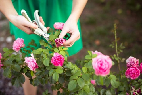 Reporting channels for ethical concerns in landscaping work