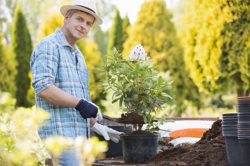 Transparent gardening quote for a terraced house garden
