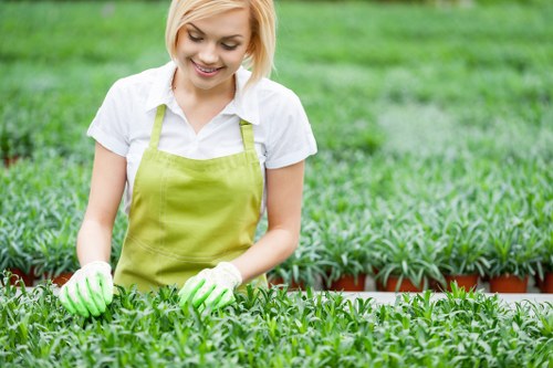 Professional mowing and feeding for lawn care in South Hackney