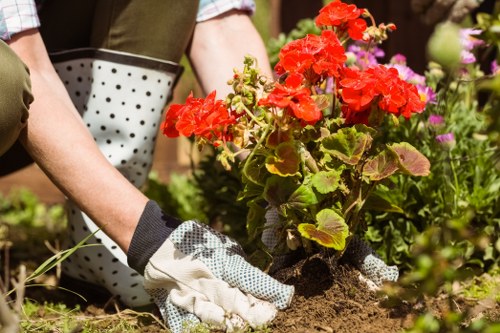 Lawn maintenance and edging in a South Hackney outdoor space