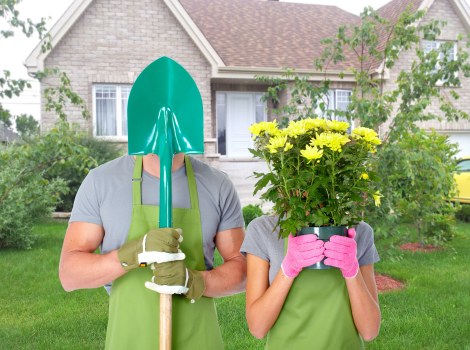 Governing law and complaint terms for gardeners