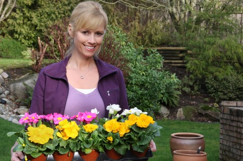 South Hackney garden design and planting in a city setting