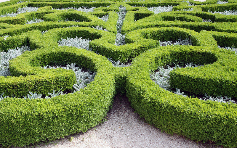 Garden hedges