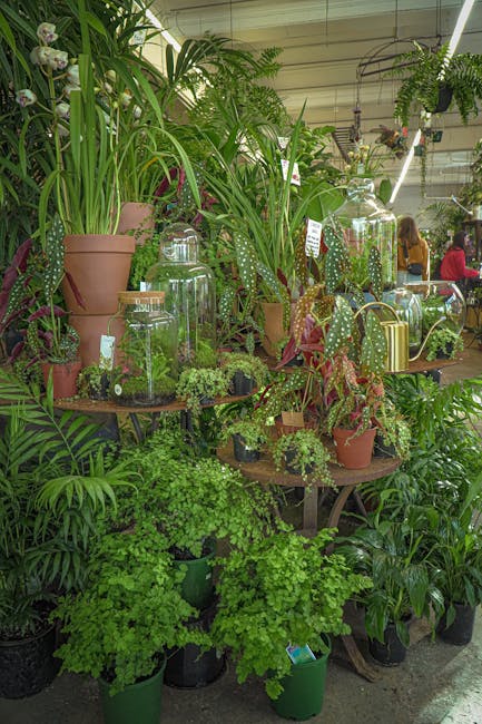 An indoor display of various potted plants arranged on wooden tables and the floor, featuring a mix of lush green foliage and flowering specimens. Prominent plants include tall, broad-leaved varieties